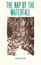book cover image for book entitled Nap by the WaterFall by Howard Nelson