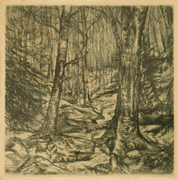 cd cover image for recording entitled The Nap by the Waterfall by Howard Nelson